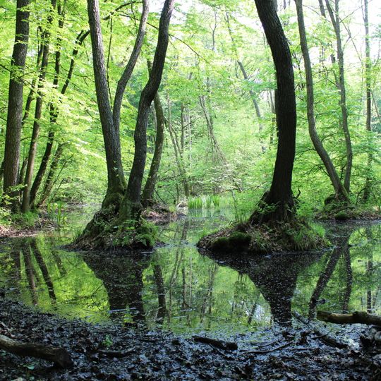 Parc national de Polesie