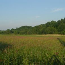 Łąki nad Młynówką