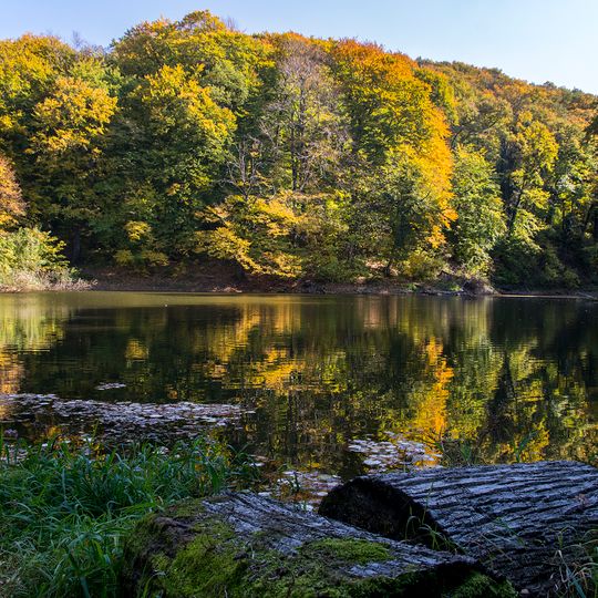 Parco nazionale della Fruška Gora