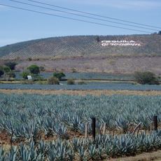 Paisaje agavero y antiguas instalaciones industriales de Tequila