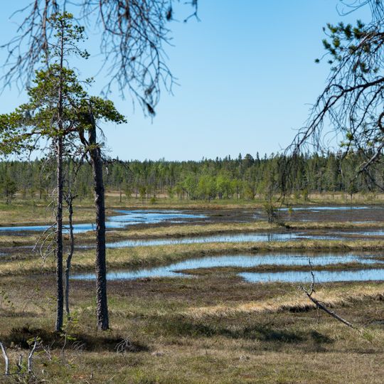Mossaträsk-Stormyran
