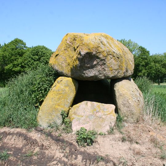 Dolmen bei Birkenmoor