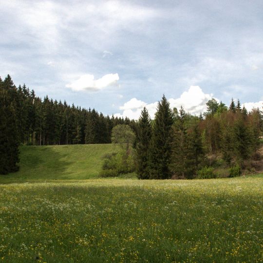 Ugental zwischen Ochsenhau und Buchhalde