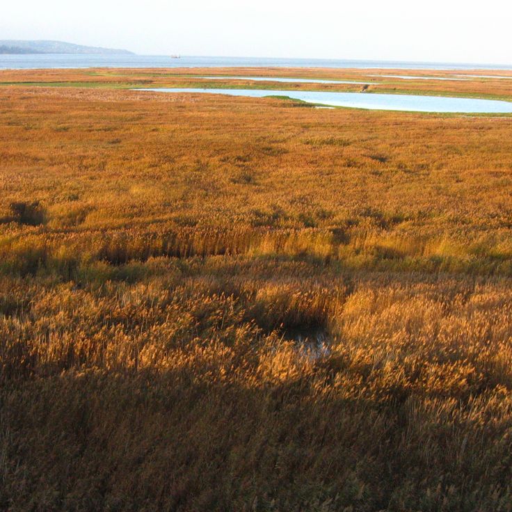 Parc Naturel Régional des Boucles de la Seine Normande