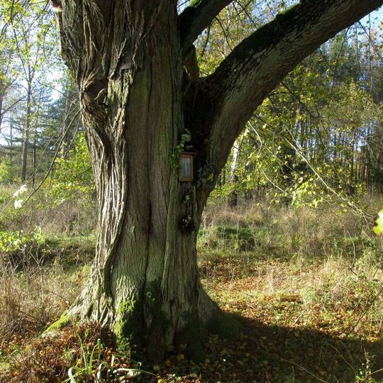 Obrázek západně od Spankova