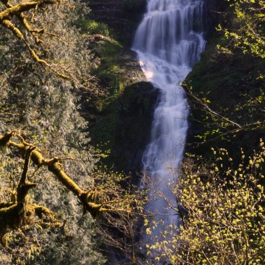 Munson Creek Falls State Natural Site