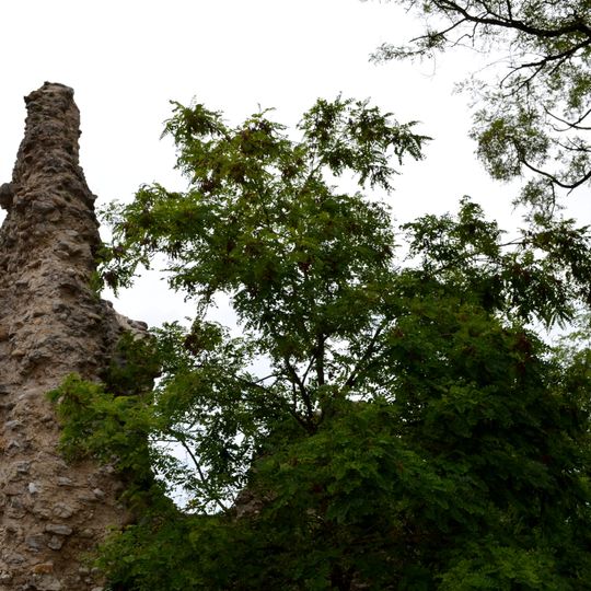 Castle of Château-Gaillard