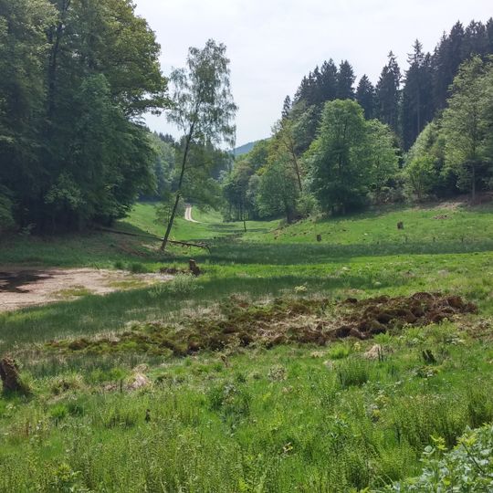 Dürr-Ellenbachtal von Wald-Michelbach