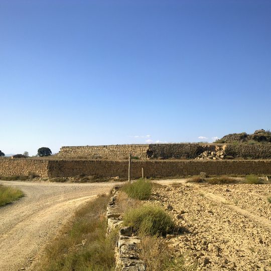 Castell de Rubiol