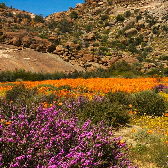 Goegap Nature Reserve