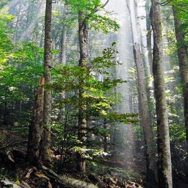 Najpiękniejsze miejsca przyrody i dziedzictwa kulturowego Czarnogóry