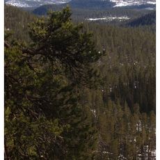 Parque nacional de Björnlandet