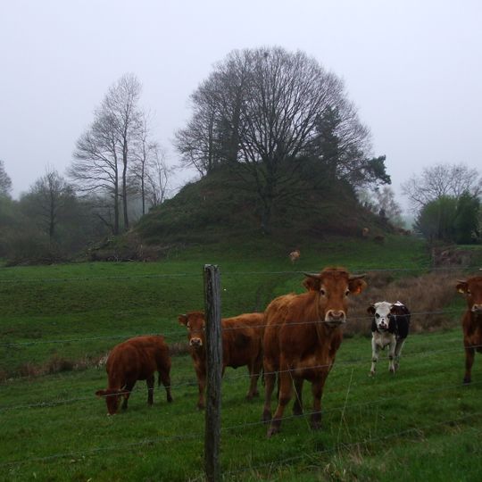 Mottes castrales du Mazeaubrun