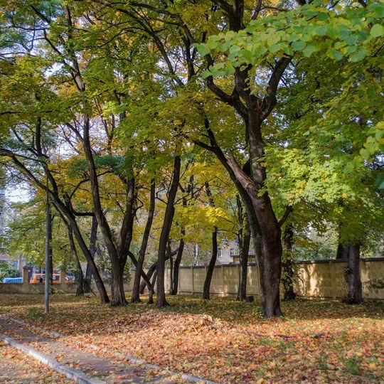 Hrupa vikovykh nasadzhen