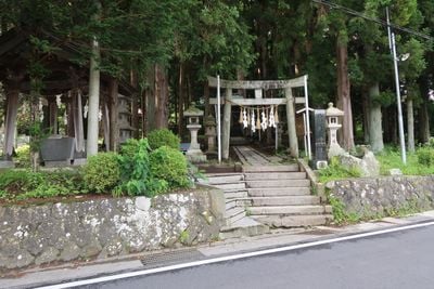Entrada 1