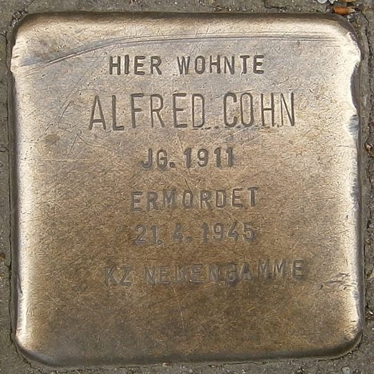 Stolperstein en memoria de Alfred Cohn