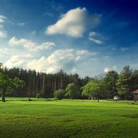 Municipio de Watson (condado de Warren, Pensilvania)