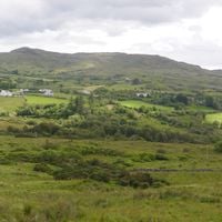 Ulster