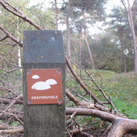Grafheuvels op de Zuilensteinse Kop