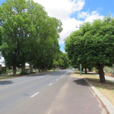 Avenue of Honour, Boyanup