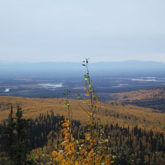 Chena River
