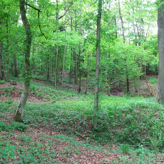 Oberrimbacher Erdfälle