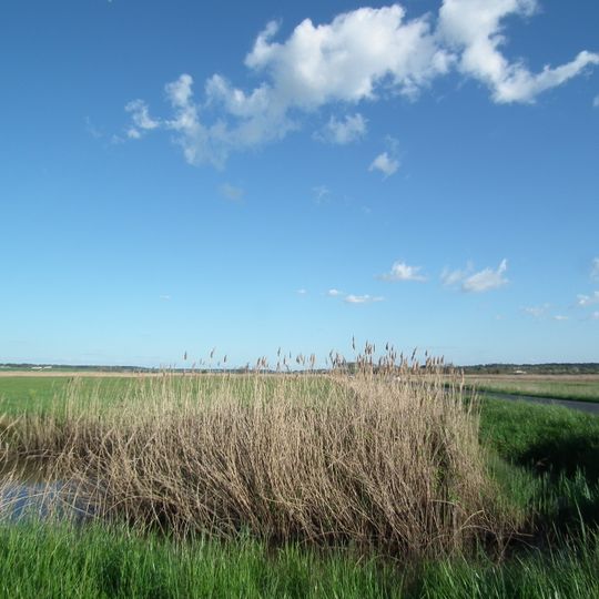Marais de Saint-Augustin