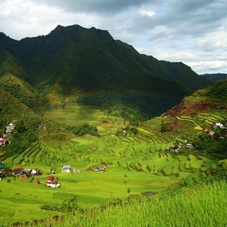 Risaie a terrazzamenti delle cordigliere delle Filippine