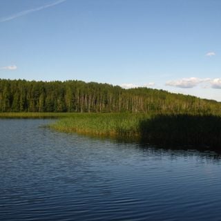Tündre Nature Reserve