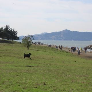 Point Isabel Regional Shoreline