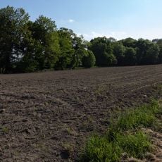 Site gallo-romain des Boissières
