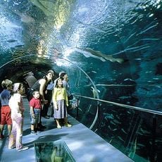 Aquarium de Donostia-San Sebastián