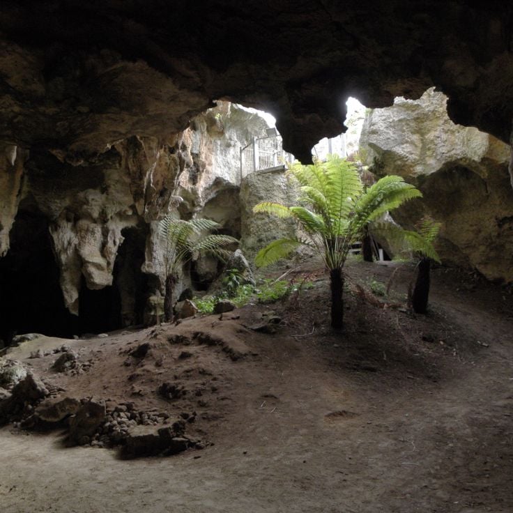 Naracoorte-grottorna