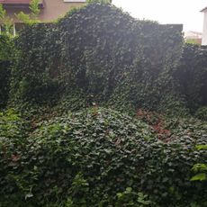 Hrob rodiny Lillingovy