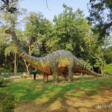 Indroda Dinosaur and Fossil Park