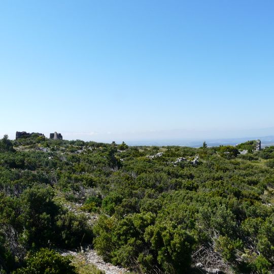 Vila Reial de Salvaterra