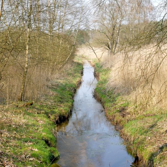 Seppenser Bach, Steinbach und angrenzende Talbereiche
