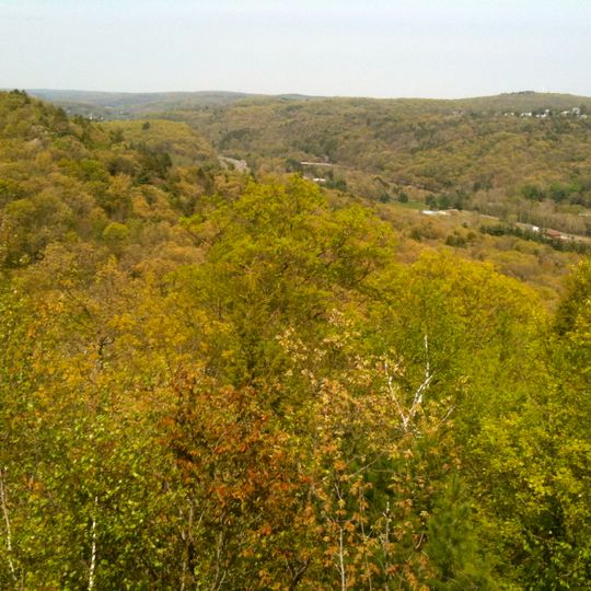 Mattatuck State Forest