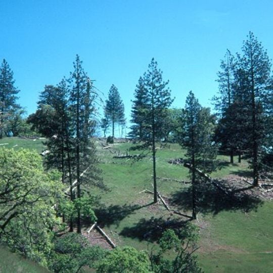 Parc d'État Henry W. Coe