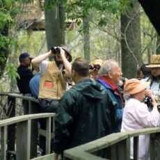 Magee Marsh Wildlife Area