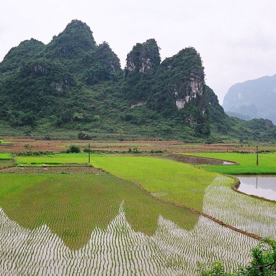 Provincia di Cao Bang
