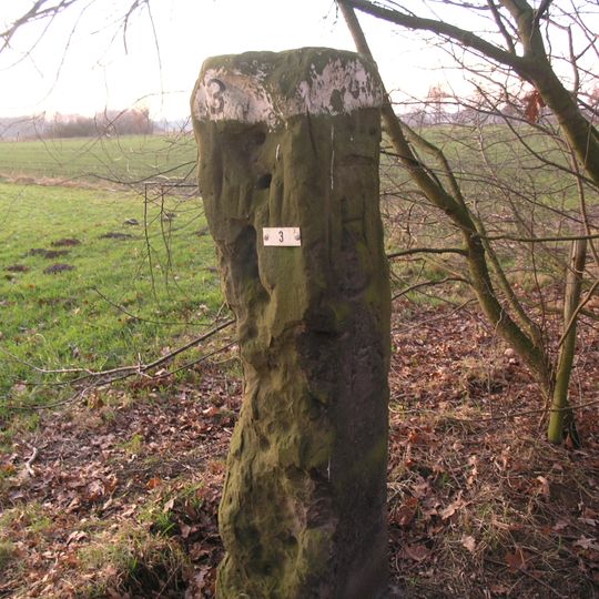 Grenspaal nr 3 bij de beerninckweg