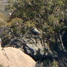 Enchanted Rock