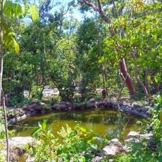 Simpson Park Hammock