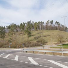 Halbtrockenrasen Eichelberg