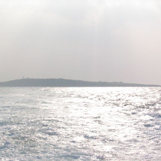 Marado