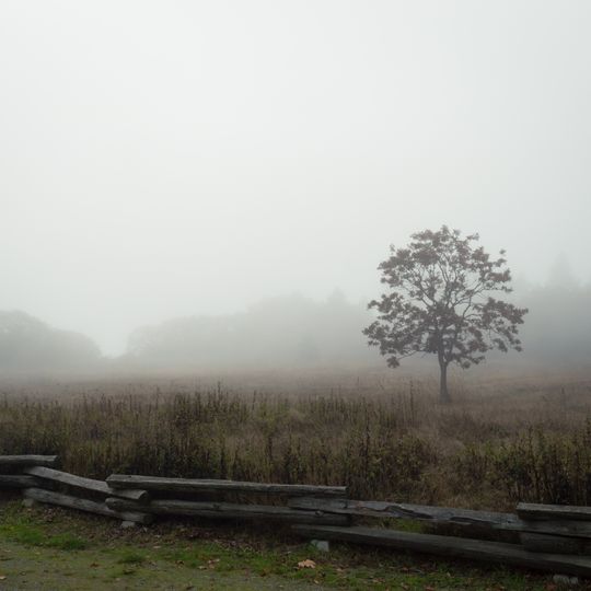 Victoria Harbour Migratory Bird Sanctuary