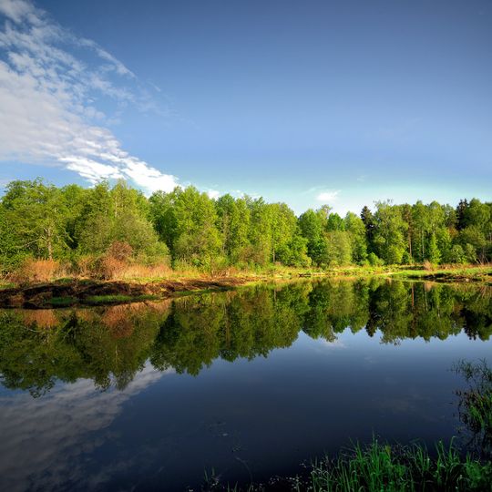 Park Narodowy „Zawidowo”
