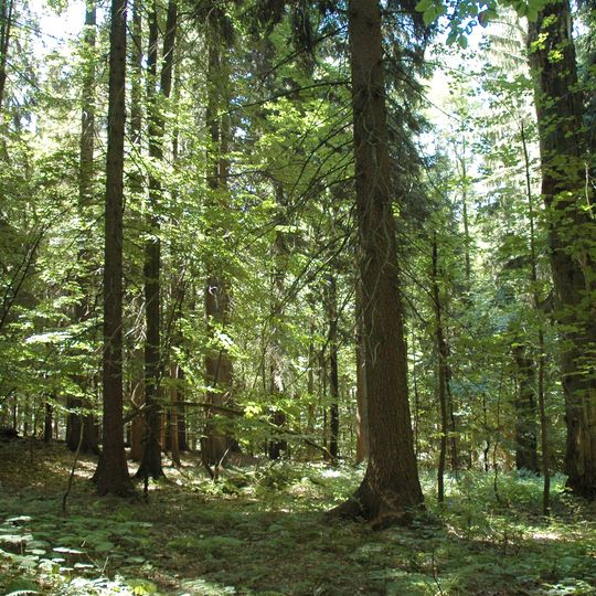 Velký a Malý Polom
