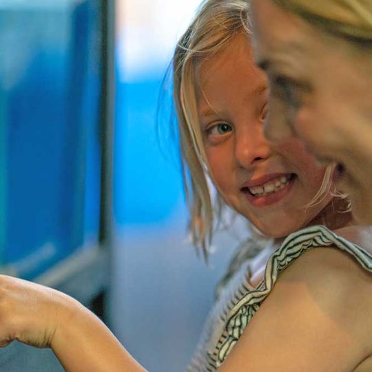 Ocean Rider Seahorse Farms